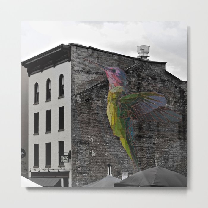 Urban Hummingbird Metal Print