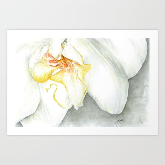 White Orchid Art Print