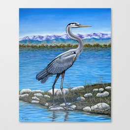 Great Blue Heron Rocky Mountain View Canvas Print