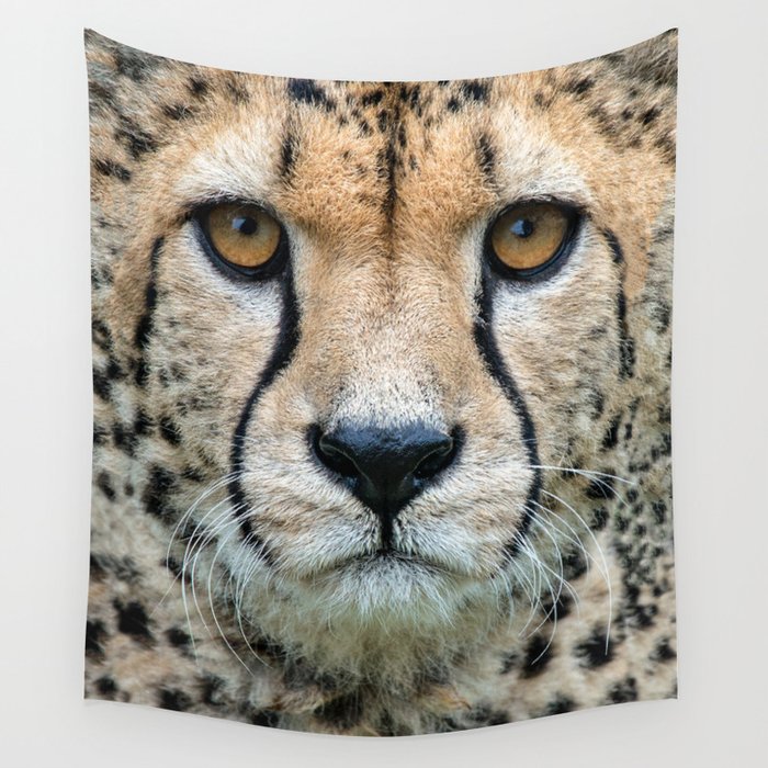 Cheetah tapestry sales