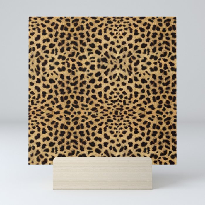 Style Eyes Wildcat's Blanket ジャケット 38 Comfy Nerd Co. - WILDCATS