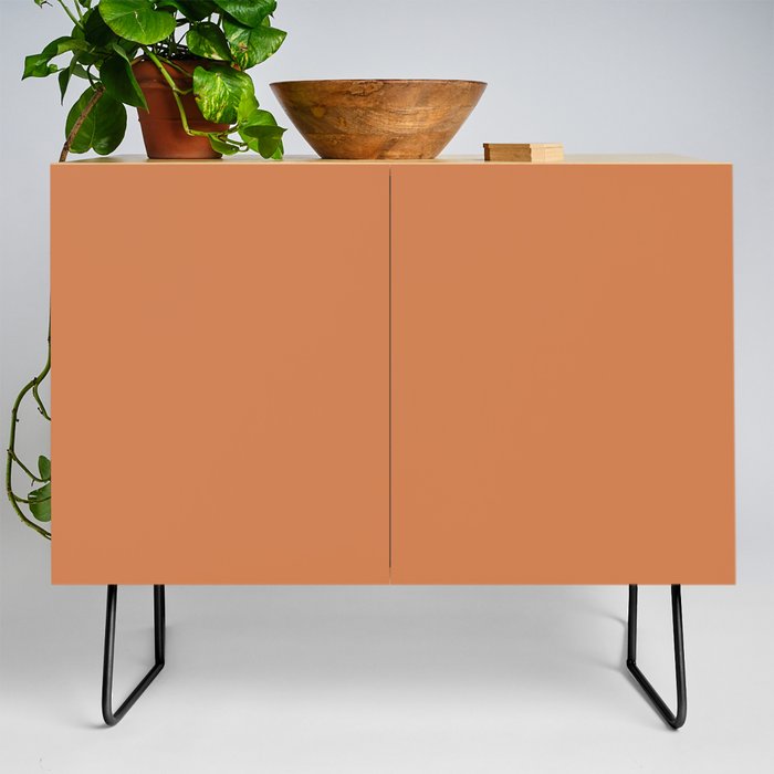Burnt Orange Single Solid Color Coordinates with PPG Cazuela PPG17-23 Color Crush Collection Credenza