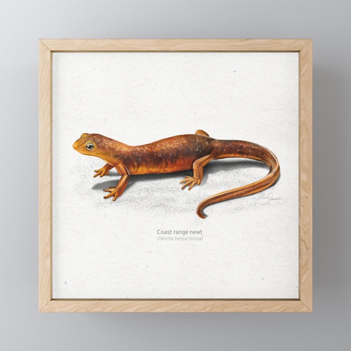 Framed Mini Art Print