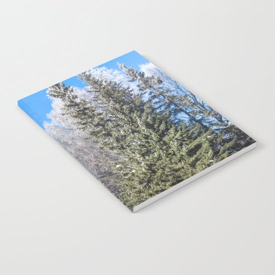 Frozen forest Notebook