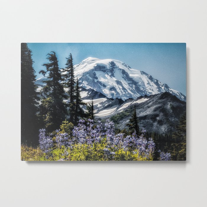 Scenic Art, Mt. Rainier, Mt. Rainier National Park, Spray Park Metal Print