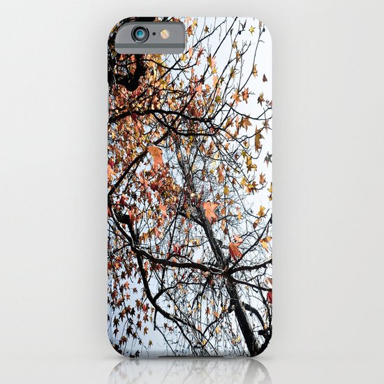 Fall II iPhone & iPod Case