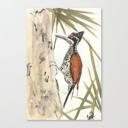 Palm Woodpecker Canvas Print