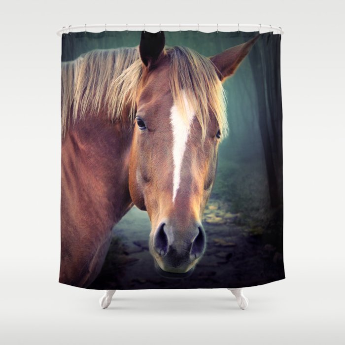 beautiful horse  Shower Curtain