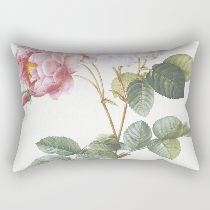 Rosa × damascena, Rosebush (Rosa damascena)  by Pierre-Joseph Redouté Rectangular Pillow