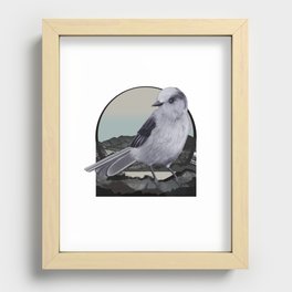 Alpine Gray Jay Bird Recessed Framed Print
