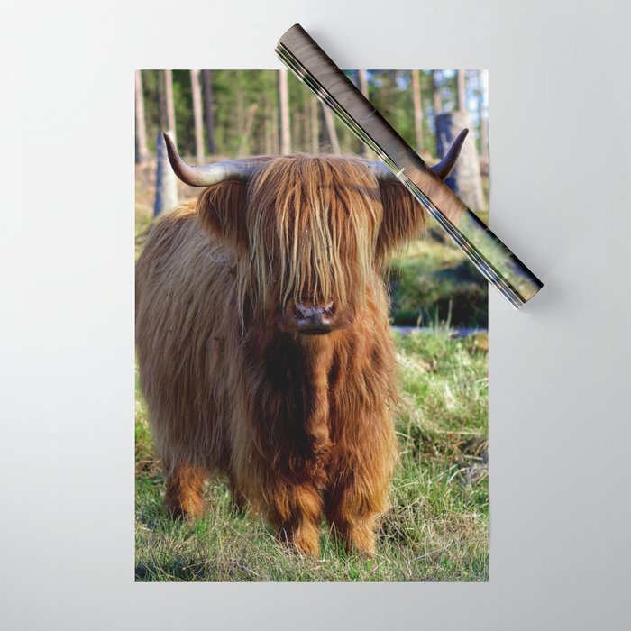 Cute highland cow Wrapping Paper