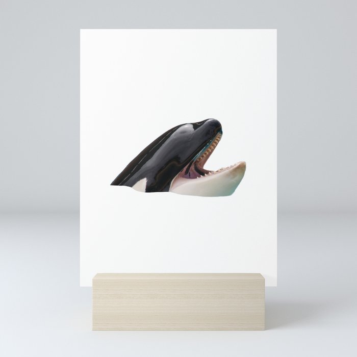 Orca Head Poking Out Of Water Mini Art Print