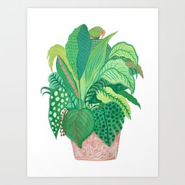 House plants Art Print | Foliage, Natural, Tree, Botanical, Botanic, Houseplant, Leafage, Leaf, Painting, Fresh 