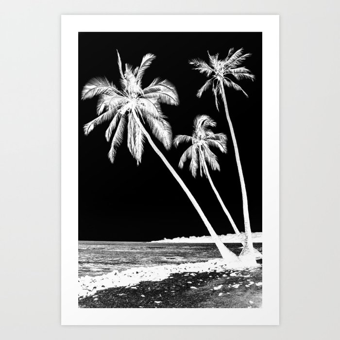 Three Palms Art Print