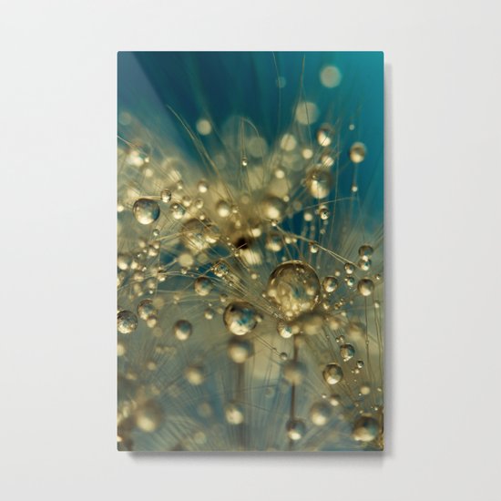 Firework Dandy in Blue Metal Print