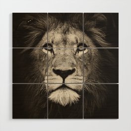 Portrait of a lion king - monochrome photography illustration Wood Wall Art