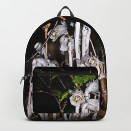 Indian Peace Pipe pano Backpack