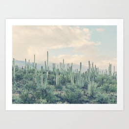 Muted Cactus Art Print