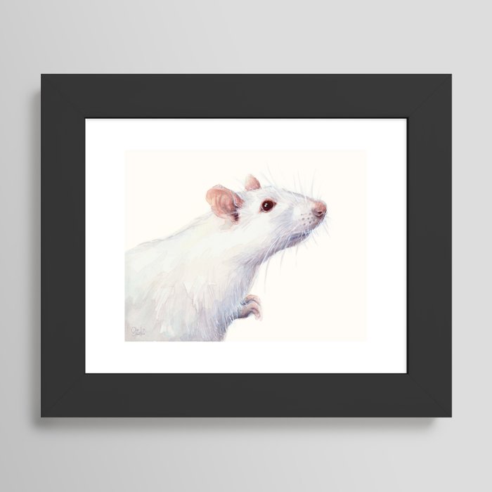 Framed Art Print