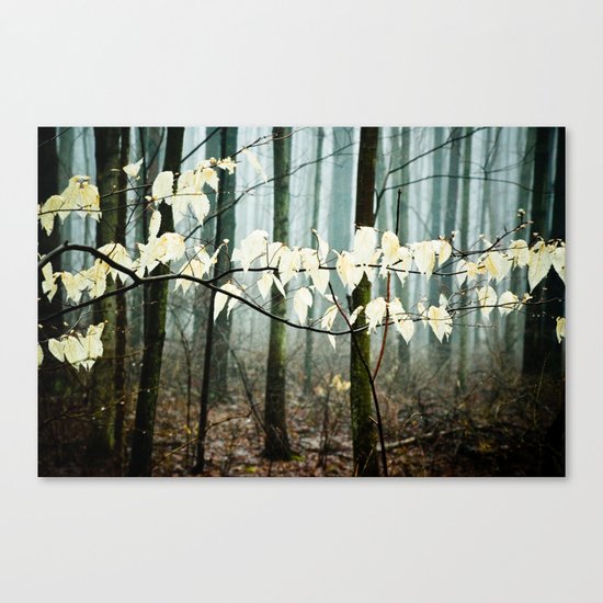 Dreams of the Sun on a Rainy Day Canvas Print