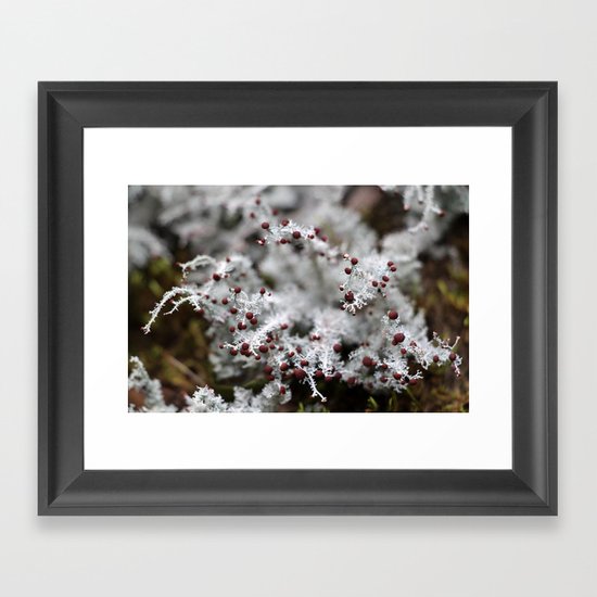 Life Form I Framed Art Print