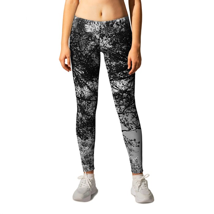Summer Forest Canopy in Black and White  Leggings