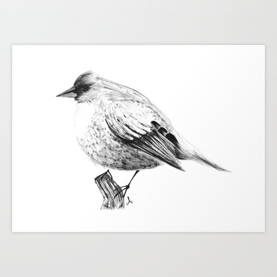 Pajaro Art Print