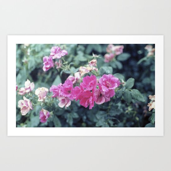 FLORA Art Print