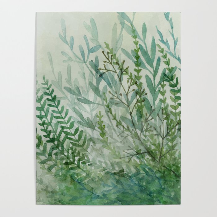 Ferns and Fog Poster