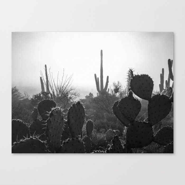 Sonoran Desert Fog (iPhone) Canvas Print