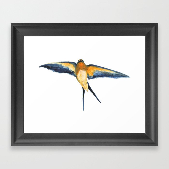 Andorinha Spring Bird - Barn Swallow illustration Framed Art Print