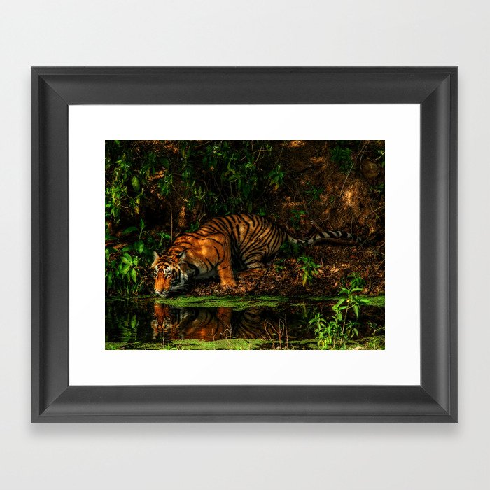 The Royal Bengal Tiger ( Framed Art Print
