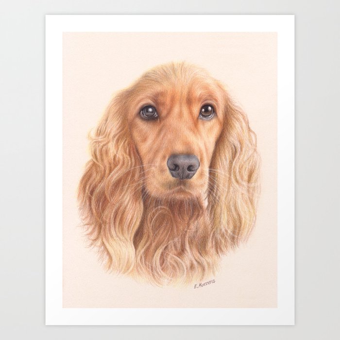 Cocker spaniel colored pencil drawing Art Print by ArtByEwelina | Society6