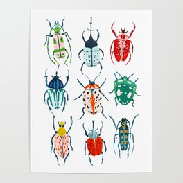 Garden Beetles Poster