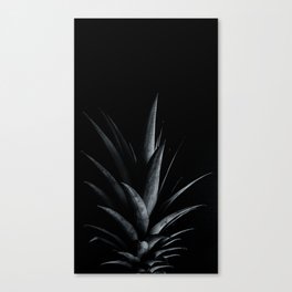 Pinapple Canvas Print