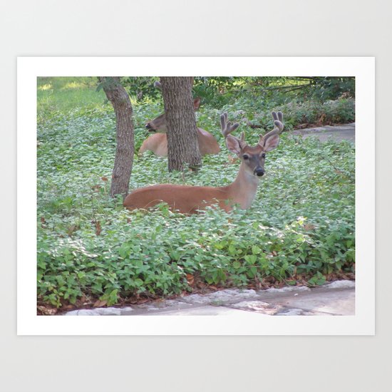 Here's Looking at You! Art Print