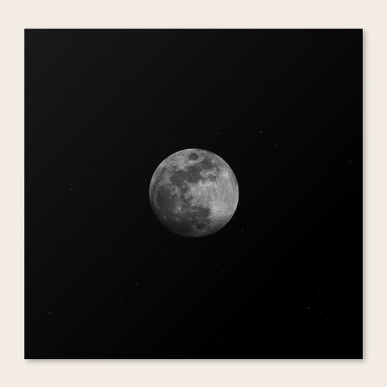 Luna Canvas Print