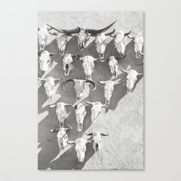 Cow Skulls - West Texas Black and White Photography Canvas Print
