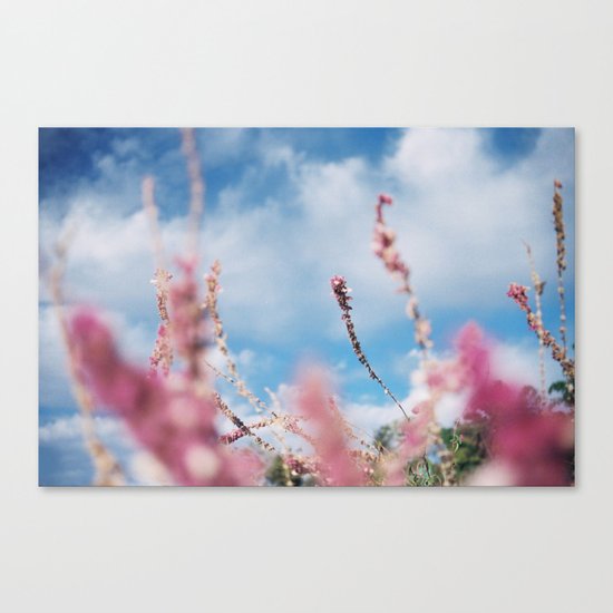 Kathmandu Canvas Print