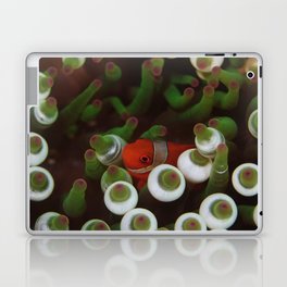 Crimson clownfish hiding Laptop Skin