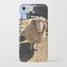 california sheep iPhone Case