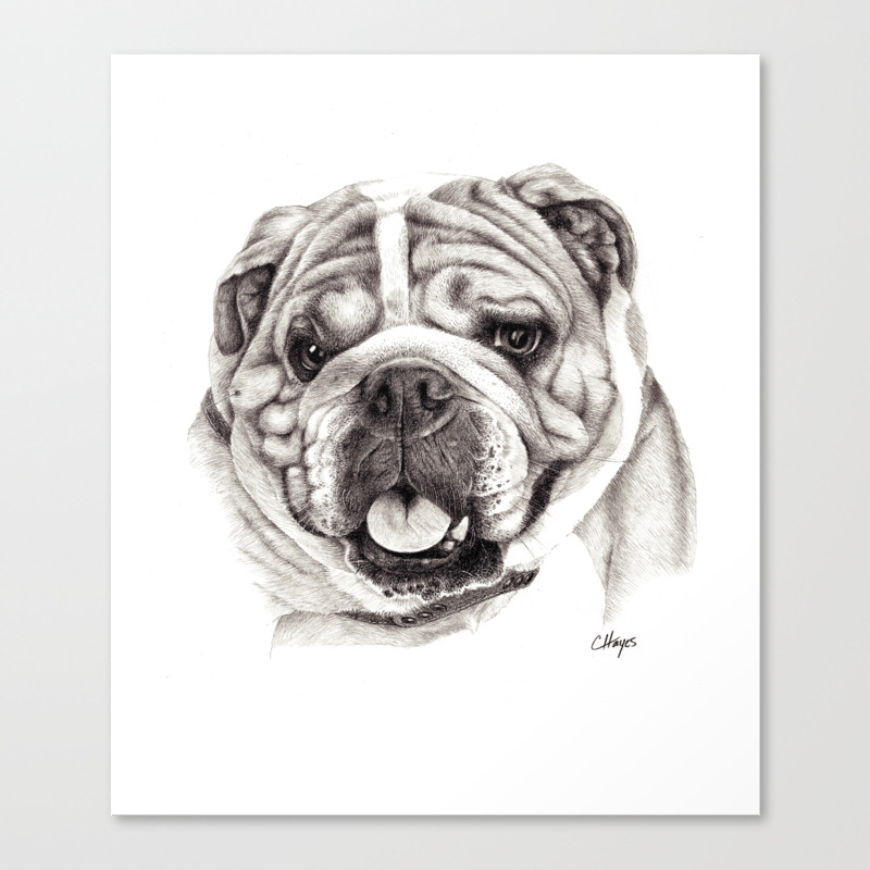 English Bulldog Drawings Easy لم يسبق له مثيل الصور Tier3 Xyz