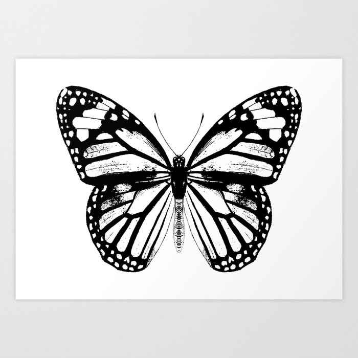 Monarch Butterfly | Vintage Butterfly | Black and White | Kunstdrucke Monarch Butterfly | Vintage Butterfly | Black and White | Kunstdrucke