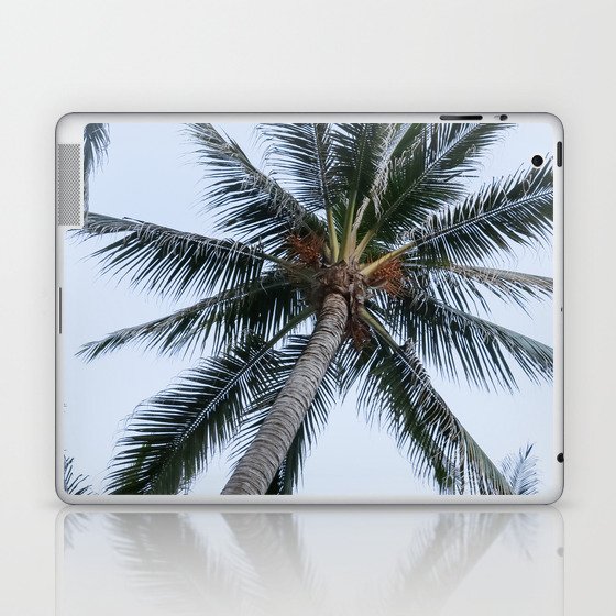 Mexico Photography - A Dry Palm Tree Seen From Below Laptop & iPad Skin