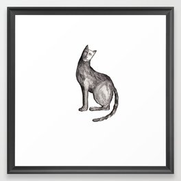 White Cat Framed Art Print
