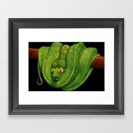 Green Tree Python Framed Art Print