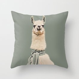 Vintage Cold Llama Throw Pillow