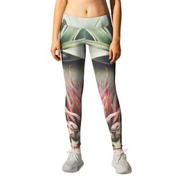 Air Plant Collection III Leggings | Stilllife, Color, Airplants, Cassiabeck, Leaves, Pink, Alien, Modern, Photo, Lightgreen 