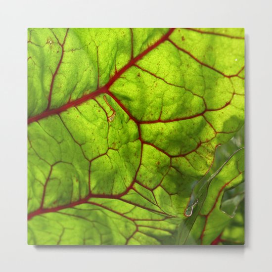 bloodstream II Metal Print