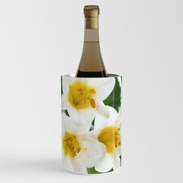 White lilies Classic film photography Wine Chiller